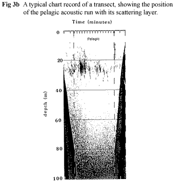 Loch Ness Chart Record of a Transect Showing Pelagic Acoustic Run with its Scattering Layer
