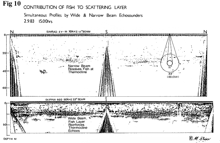 Loch Ness Contribution of Fish to Scattering Layer 