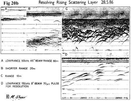 Loch Ness Resolving the Rising Scattering Layer