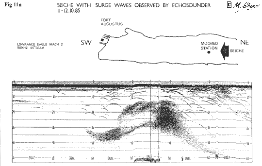 Loch Ness Seiche with Surge Wave Observed by Echosounder