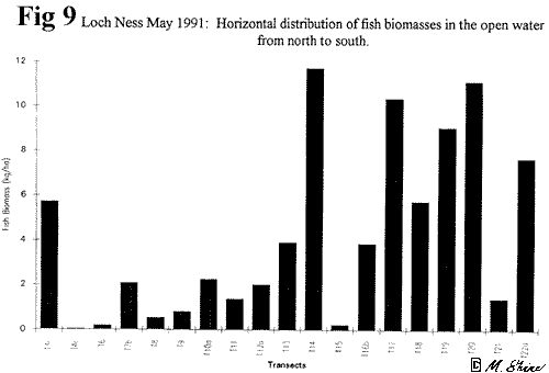 Loch Ness Horizontal Distribution of Fish Biomass 