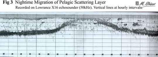 Loch Ness Nightime Migration of Pelagic Scattering Layer