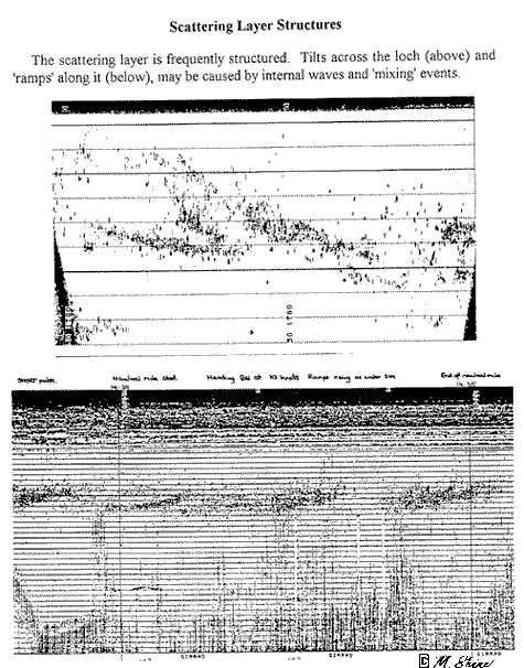 Loch Ness Scattering Layer Structures 