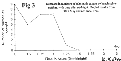 Loch Ness Decrease in Numbers of Salmonids Caught by Beach Seine-netting with time after midnight