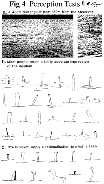 Loch Ness Perception Tests