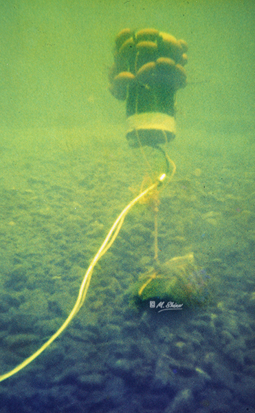 UW camera deployed looking up at the surface.