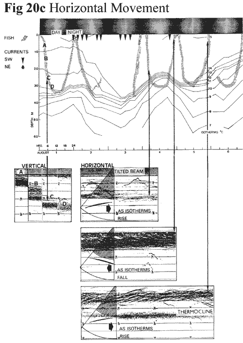 Loch Ness Horizontal Movement (20c)