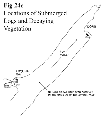 Loch Ness Locations of Submerged Logs and Decaying Vegetation 
