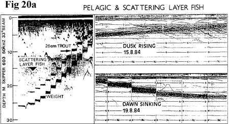 Loch Ness Pelagic and Scattering Layer Fish