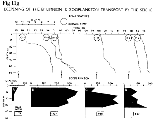 Loch Ness Deepening of the Epilimnion and Zooplankton Transport by the Seiche